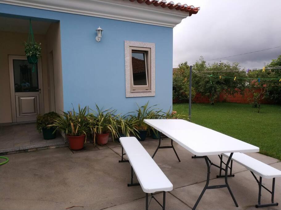 Murtosa Maison Proche De La Mer מראה חיצוני תמונה